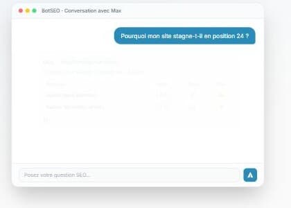 Capture d'ecran de BotSEO